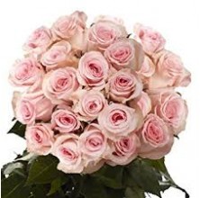 Soft Pink - 36 Stems In Bouquet